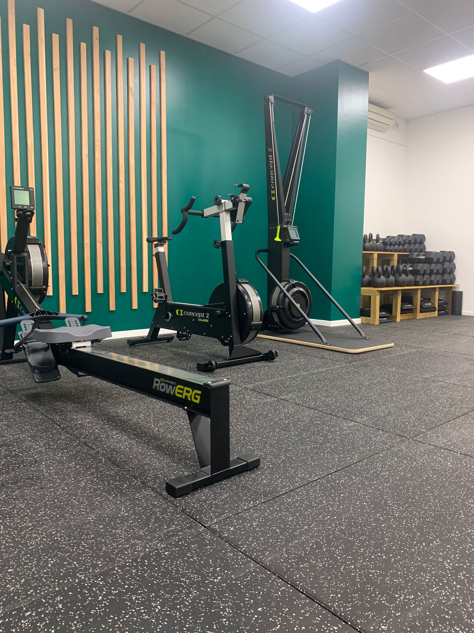 WhatsApp Image 2025-11-11 at 22.17.41